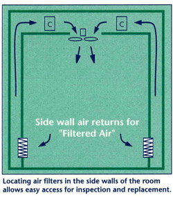 Particulate